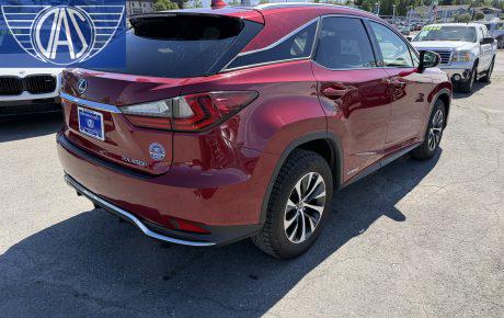 Lexus RX Hybrid  '2020