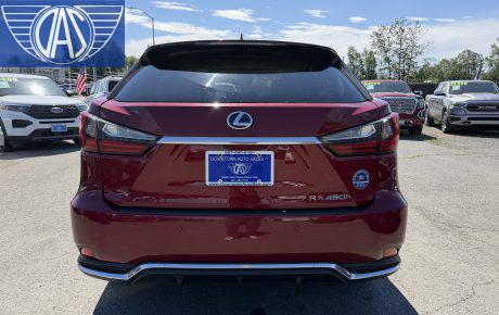 Lexus RX Hybrid  '2020