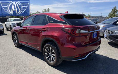 Lexus RX Hybrid  '2020